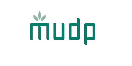 Strengthen your MUDP application with Nordic Innovators' expertise